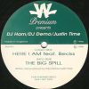 DJ Ham, DJ Demo and Justin Time Feat. Becks – Here I Am