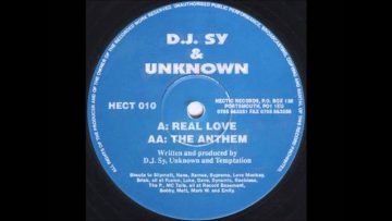 Sy and Unknown – Real Love