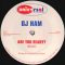 DJ Ham – Are You Ready? (Remix)