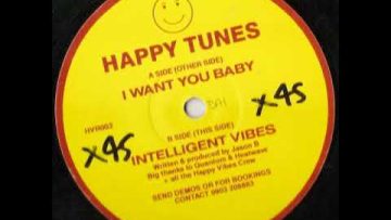 Happy Tunes – Intelligent Vibes [HVR003 B]