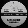 DJ SEDUCTION – IN THE MIX
