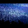 Cascada – How Do You Do (Clubland Live March 2008)
