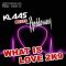 Klaas Meets Haddaway – What Is Love 2K9 (Klaas Club Mix)