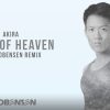 Akira – Piece Of Heaven (Theo Gobensen Remix)