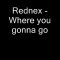 Rednex Where you gonna go