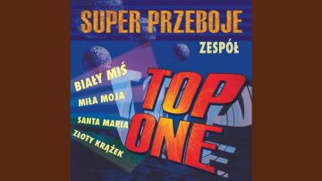 Biały miś