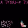 I Dont Wanna Cry – (Tribute To Mariah Carey)