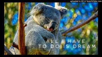 Joy B.【 All I Have To Do Is Dream 】Everly Brothers Dance Remake ・Euro-Pop