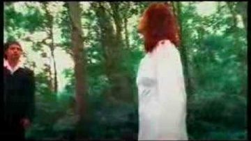 Magic Fields X-Perience