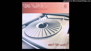Sam Sever And The Raiders Of The Lost Art – Whats That Sound? (Fucked Up Sound) (Dub Cut)