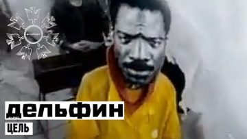 Дельфин | Dolphin – Цель (feat. Спирали)