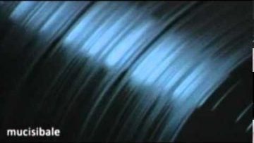 Renegade Soundwave – Renegade Soundwave (Leftfield Mix)