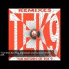 Tek 9 – Rude Bwoy Run Tings (Lightweight Leave Da Dance Mix)