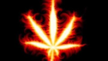 Corruption Productions Love You Right