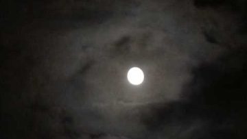 Dj Phantasy and Dj Carl Cox – Jepron(Rmx) Dj Phantasy Mix