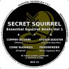 System Booter (Squirrel Dub Mix)