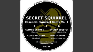 System Booter (Squirrel Dub Mix)