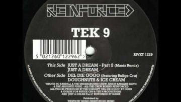 Tek 9 – Just a Dream -Reinforced – 92