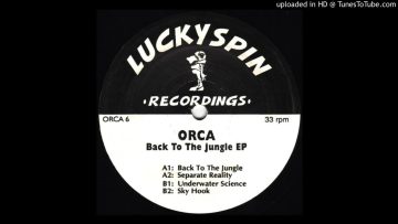 A2 – Orca – Separate Reality