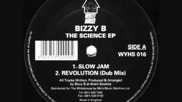 bizzy b – revolution! (dub mix).