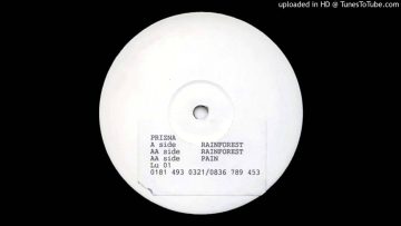 Prizna – Rainforest (1996)