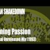 Urban Shakedown – Burning Passion (1993 Original Dubplate)