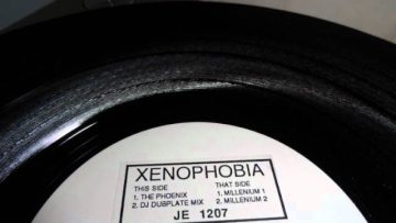 Xenophobia – Millenium1