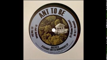 Ant To Be – B2 – D.I.Y. (Rewind) – Knitebreed Records [BREED24]