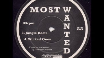 The Most Wanted – Jungle Roots
