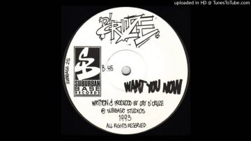 DCruze – Want You Now