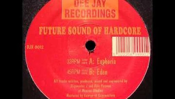 Future Sound Of Hardcore ‎– Euphoria