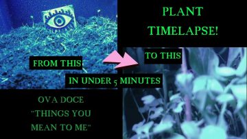 Ova Doce – Things You Mean To Me