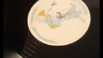 The Rude Boy Project Scary