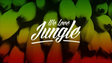 X Project – Walking in the air