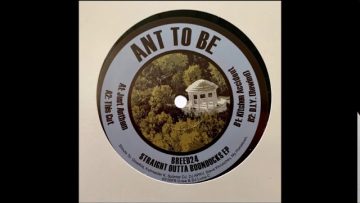 Ant To Be – A2 – This Cut – Knitebreed Records [BREED24]