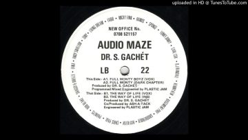 B1 – Audio Maze and Dr. S. Gachét – The Way Of Life (Vox)