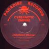 Cybernetic Empire – Equinox Remix (Paradise Records)