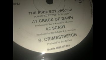 THE RUDE BOY PROJECT – CRACK OF DAWN – SYMPHONY SOUND RECORDS – 1993 – CAT SYM 006
