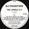 DJ Phantasy – Hash and Some Sensi – The Jungle EP – 1991