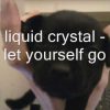 liquid crystal let yourself go