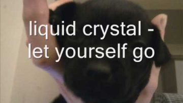 liquid crystal let yourself go