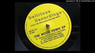 The Moog – Rush Hour (Rotor Remix)