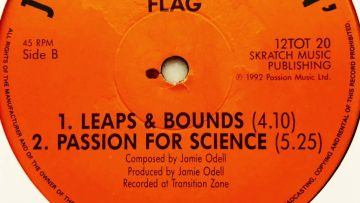Flag • Leaps and Bounds (1992)
