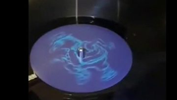 The Hedgehog Affar Part 2 We told you