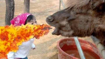 Turnable Hype – Techno nation