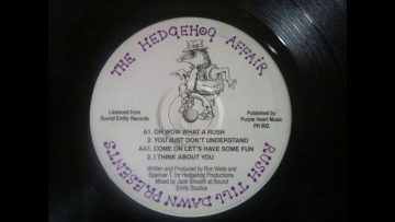 Hedgehog Affair – You Just Dont Understand