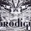 Prodigy – Charly (Beltram Says Mix)