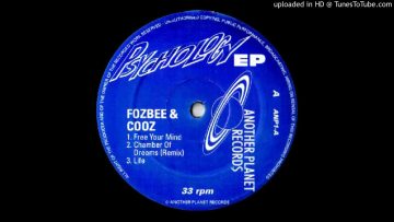 A2 – Fozbee and Cooz – Chamber Of Dreams (Remix)