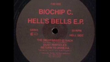 Biochip C. – Dust Particles