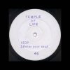 TEMPLE OF LIFE – EDP 1991